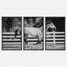  32279 - Uttermost Galloping Forward Equine Prints, Set/3